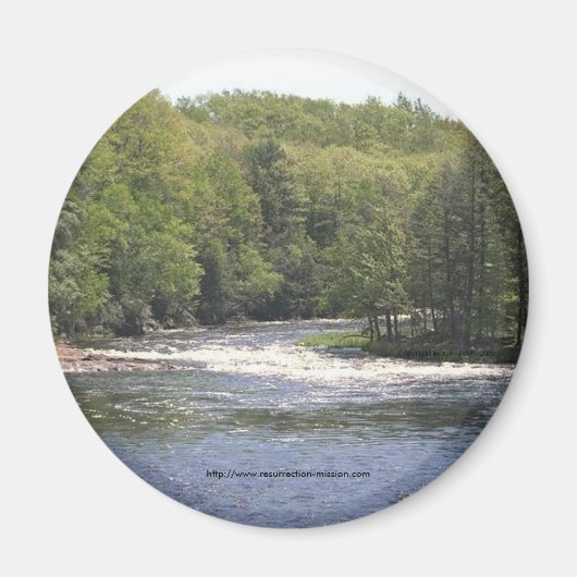 Magnet-Upper New York Bomen en rivier Magneet (Voorkant)