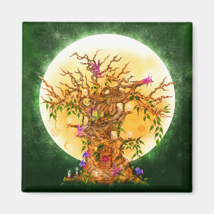 Magnet van de Faerie