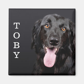 Magnet van de persoonlijke Dog Fotokoelkast