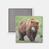 Magnet van GRIZZLY BEER (Voorkant / Achterkant)