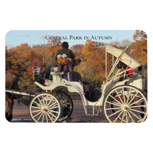 Magnet — Vervoer in het centrale park NYC Magneet (Horizontaal)