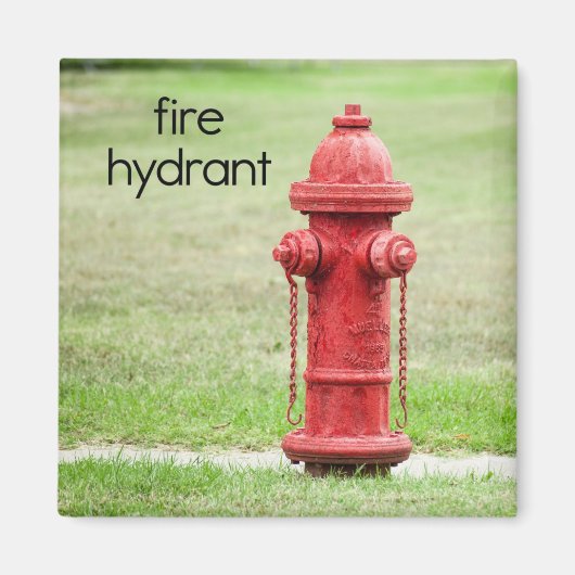 Magnet voor de Koelmachine voor Brandstofwater (Voorkant)