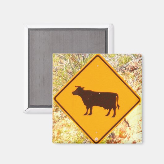 magnet voor het oversteken van runderen (Voorkant / Achterkant)