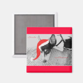 Magnet voor Kerstmis, Rat Terrior (Voorkant / Achterkant)