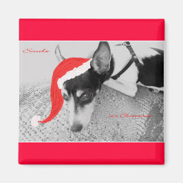 Magnet voor Kerstmis, Rat Terrior