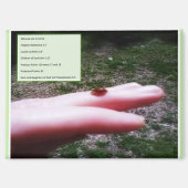 magnet -who we are in Christ (Voorkant)