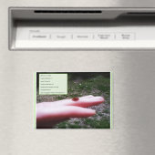 magnet -who we are in Christ (Insitu (Vaatwasser))