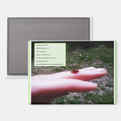 magnet -who we are in Christ (Voorkant / Achterkant)