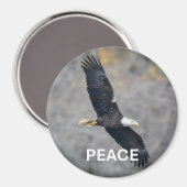 Magnet with Bald Eagle picture and the word Peace (Voorkant / Achterkant)