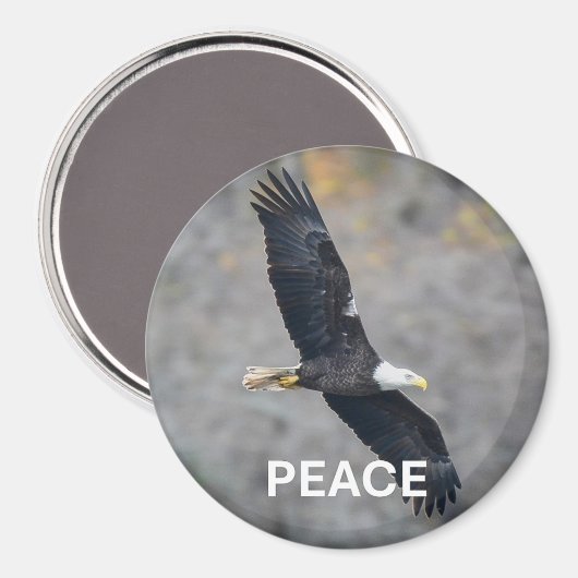 Magnet with Bald Eagle picture and the word Peace (Voorkant / Achterkant)