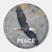 Magnet with Bald Eagle picture and the word Peace (Voorkant)