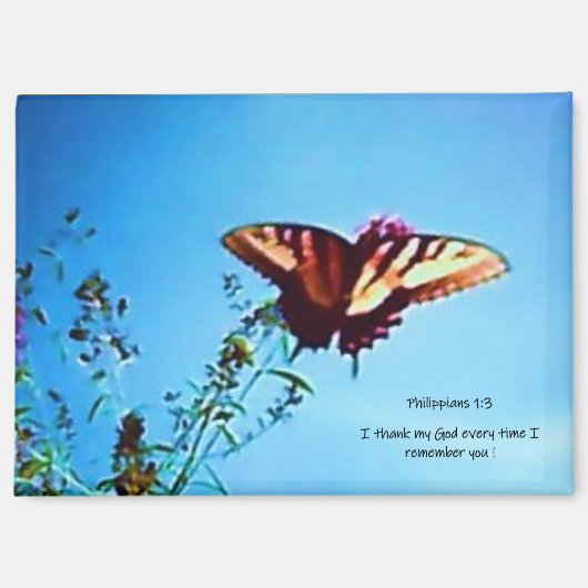 Magnet Yellow Butterfly Phillipians 1:3 (Voorkant)
