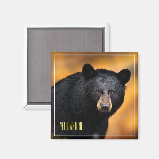 Magnet Yellowstone Black Beer (Voorkant / Achterkant)