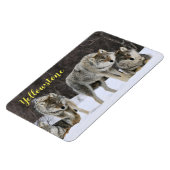 Magnet-Yellowstone Wolf Magneet (Linkerzijde)