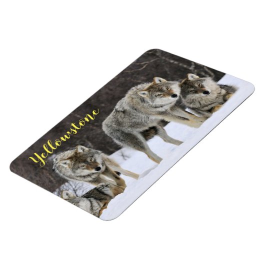 Magnet-Yellowstone Wolf Magneet (Linkerzijde)