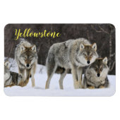 Magnet-Yellowstone Wolf Magneet (Horizontaal)