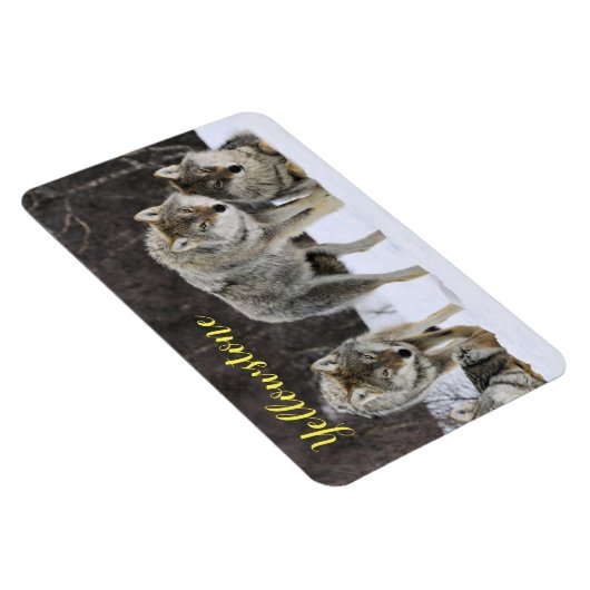 Magnet-Yellowstone Wolf Magneet (Rechterzijde)