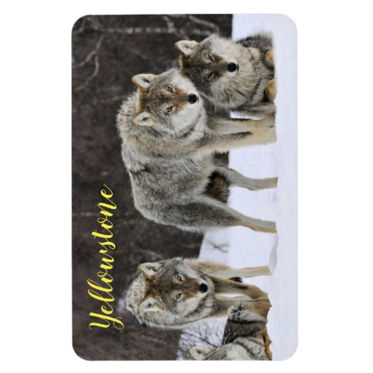 Magnet-Yellowstone Wolf Magneet (Verticaal)