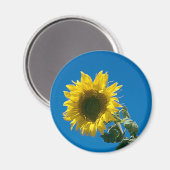 Magnet - Zonnebloem (Voorkant / Achterkant)