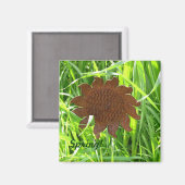 Magnet - Zonnebloem van ijzer (Voorkant / Achterkant)