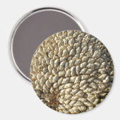 Magnet - Zonnebloemgeometrie (Voorkant / Achterkant)