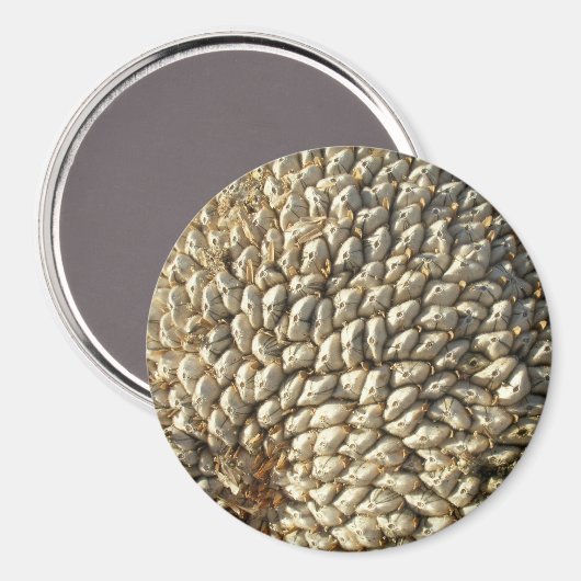 Magnet - Zonnebloemgeometrie (Voorkant / Achterkant)