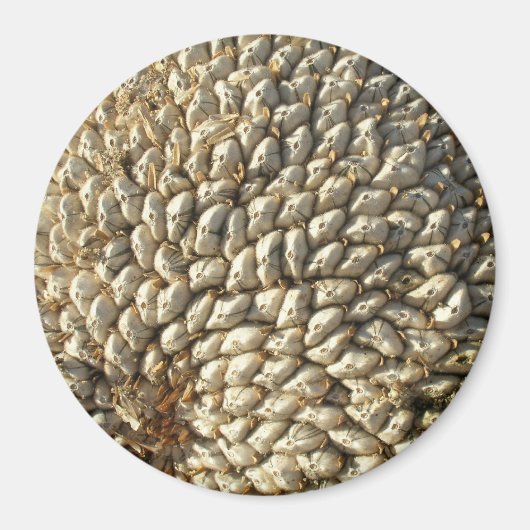 Magnet - Zonnebloemgeometrie (Voorkant)