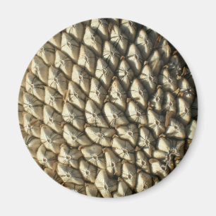 Magnet - Zonnebloemzaad