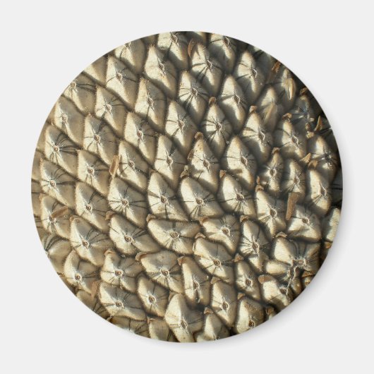 Magnet - Zonnebloemzaad (Voorkant)