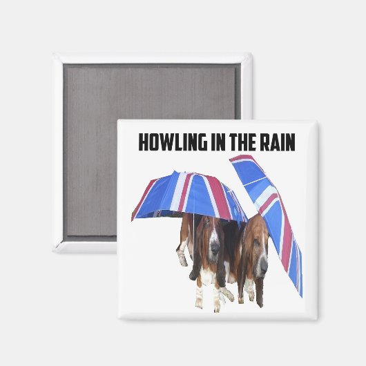 Magnetbeugel in de regen magneet (Voorkant / Achterkant)