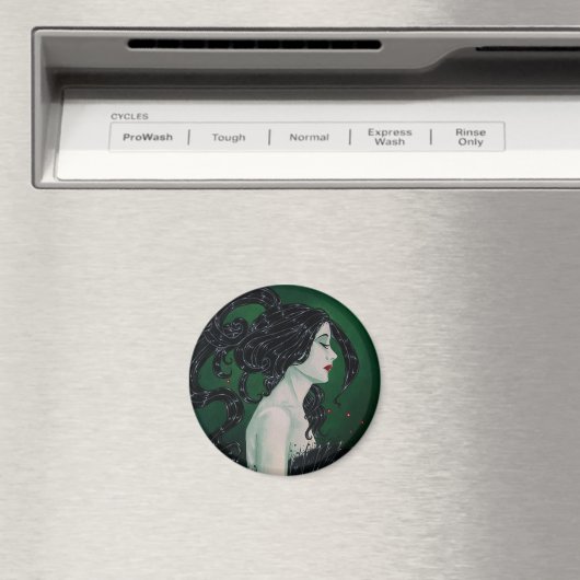 Magneten (Insitu (Vaatwasser))