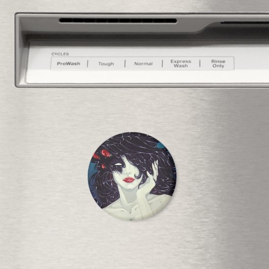 Magneten (Insitu (Vaatwasser))