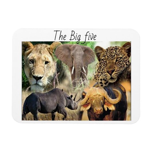 magneten kenya big vijf (Horizontaal)