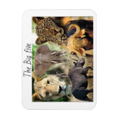 magneten kenya big vijf (Verticaal)