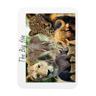 magneten kenya big vijf