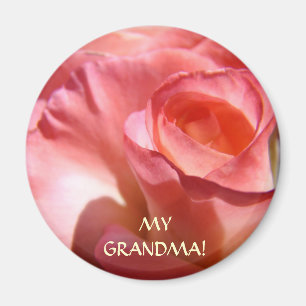 MAGNETEN Roze Roos Bloem MIJN OMA! Magneet