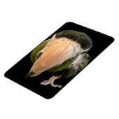 magneten van beakysnooter (Linkerzijde)