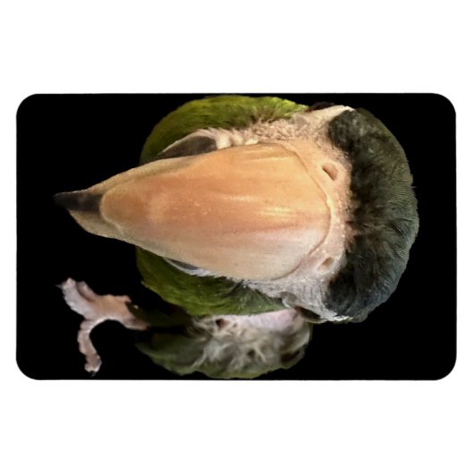 magneten van beakysnooter (Horizontaal)