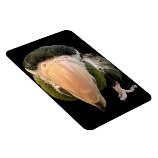 magneten van beakysnooter (Rechterzijde)