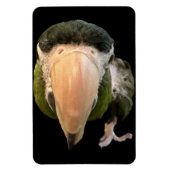 magneten van beakysnooter (Verticaal)