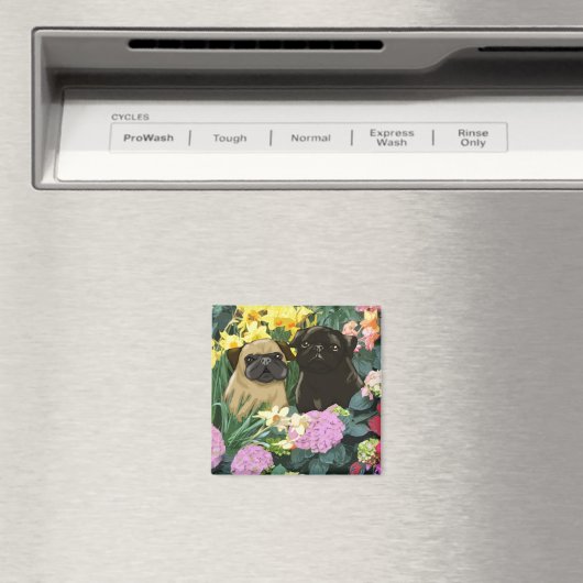 Magneten van edele lentepuggen (Insitu (Vaatwasser))