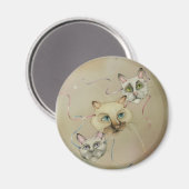 Magneten - Wat zijn de punten (Voorkant / Achterkant)