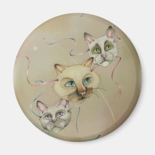 Magneten - Wat zijn de punten (Voorkant)