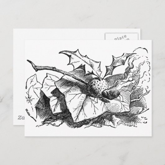 Magnetisch drakenvliegtuig briefkaart (Voorkant / Achterkant)