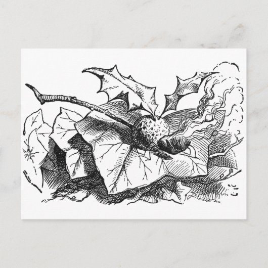 Magnetisch drakenvliegtuig briefkaart (Voorkant)