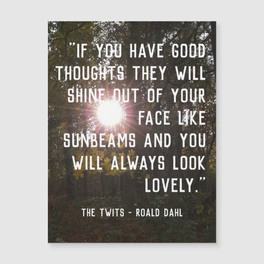 Magnetisch  opsplitsen prijsopgave - Roald Dahl (Voorkant)