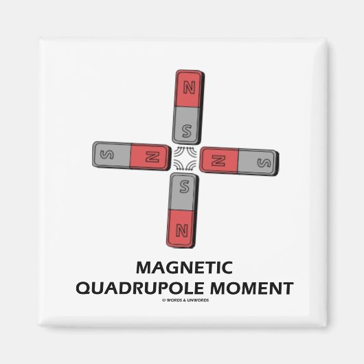 Magnetisch vierpolig moment (magnetisme) magneet (Voorkant)