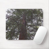 Magnetische Boom Muismat (Met muis)