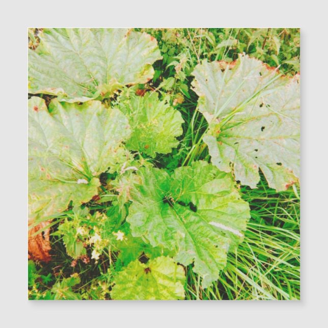 Magnetische kaart (Voorkant)