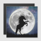 Magnetische kaart Het paard en de witte maan (Voorkant / Achterkant)